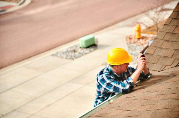 Best New Roof Installation  in Despard, WV