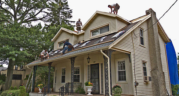 Best Emergency Roof Repair  in Despard, WV